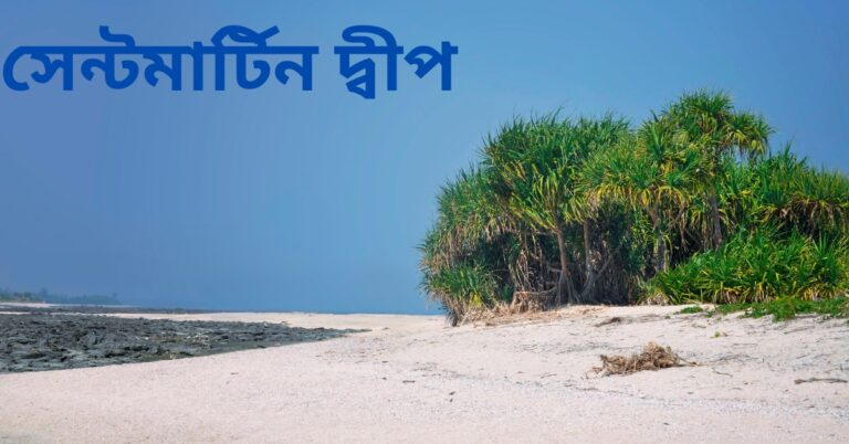 সেন্টমার্টিন দ্বীপ