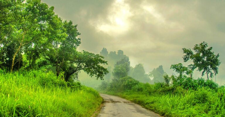 নীলগিরি বান্দরবান ভ্রমণ সল্যুশন